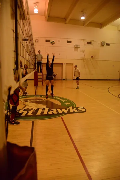 DSC_1687 (Large).JPG